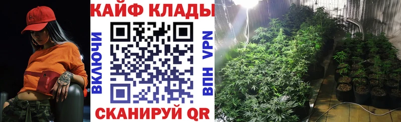 Где найти наркотики Шилка Бутират Меф Конопля
