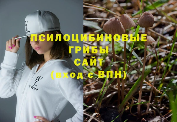 PSILOCYBIN Няндома
