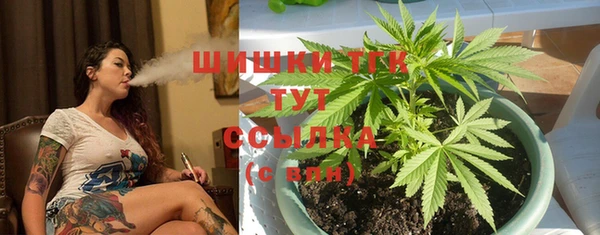 PSILOCYBIN Няндома