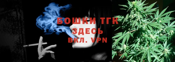 круглые Осинники